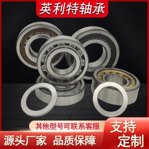 圆柱滚子轴承NNU4948 NNU4948/02 NNJ4948/02 SL05020 SL06020