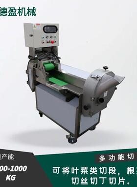 商用多功能切菜机白菜土豆黄瓜切碎切片切丝切段输送式双头切菜机