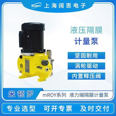 计量泵mRoy系列液压隔膜计量泵RH005S124A1MNN耐酸加泵