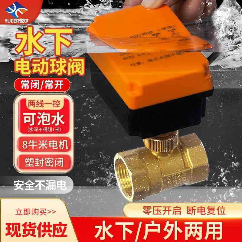 水下防水电动球阀220v24v12v二通丝扣管道控制阀门微型电动阀水阀