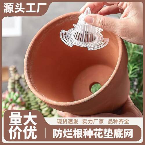 Plastic mesh for succulent roots to improve aeration and pre