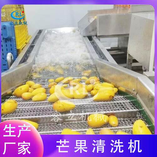 供应火龙果清洗机不锈钢香蕉猕猴桃清洗设备全自动芒果清洗机