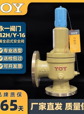 中国永一安全阀 A42H/Y-16C 铸钢弹簧全启式安全阀 封闭式安全阀