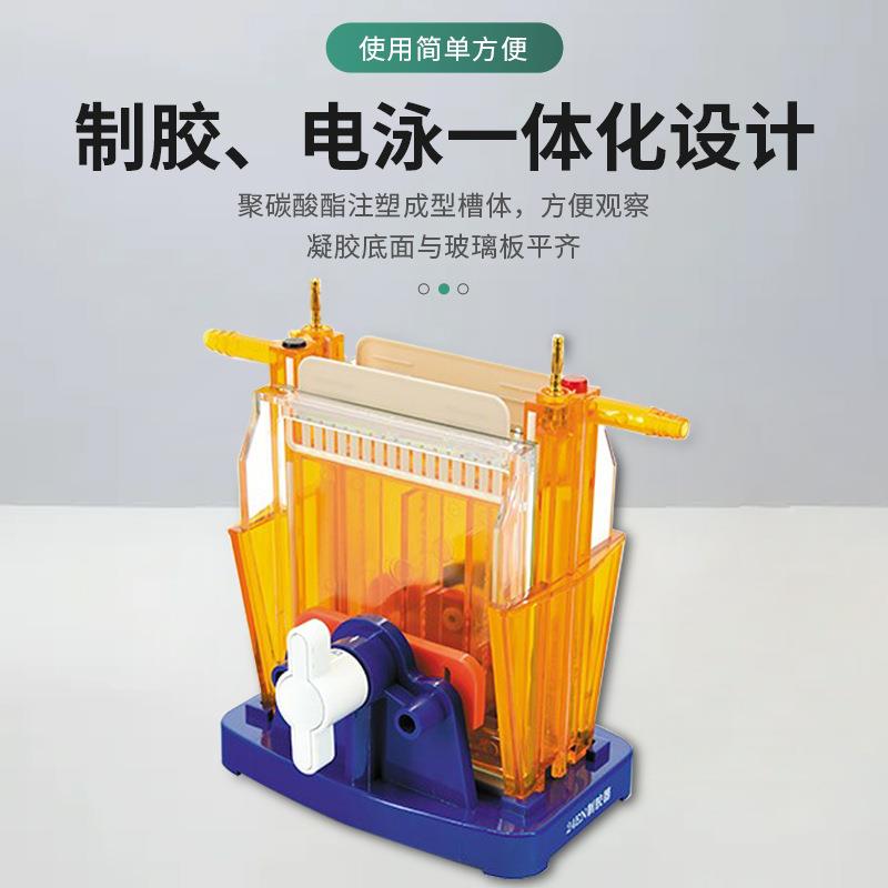 南北仪器 双垂直电泳仪DYCZ-24A/B实验室蛋白凝胶电泳槽北京六一