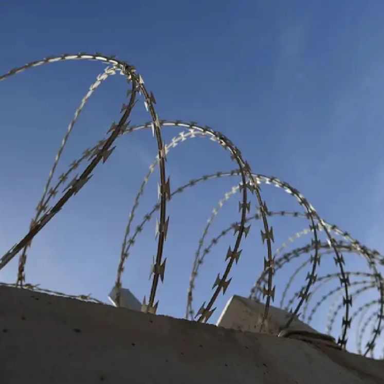 刀片刺绳 刀片刺网 刺网 防盗刺网 刀刺网 直供江苏 浙江 苏州