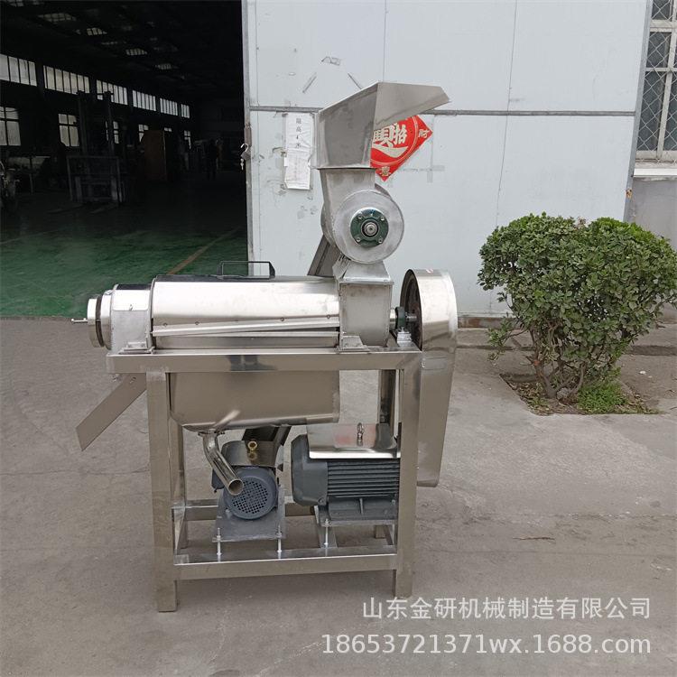 无花果酸木瓜破碎榨汁机西瓜哈密瓜压榨出汁机荔枝龙眼去核打浆机