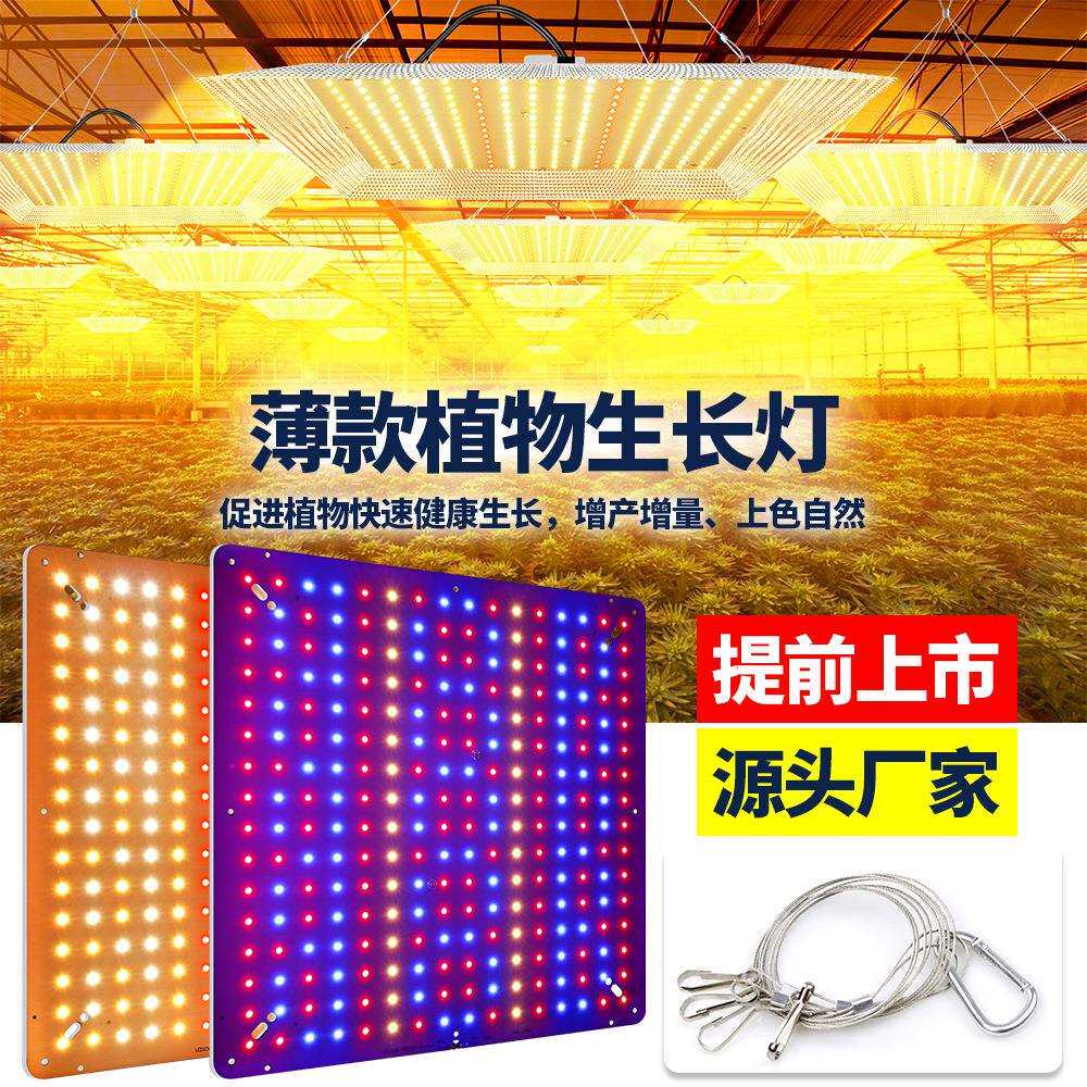 全光灯谱量大子植物吊反季节棚蔬菜多肉果上FNV色补光植LED物生长