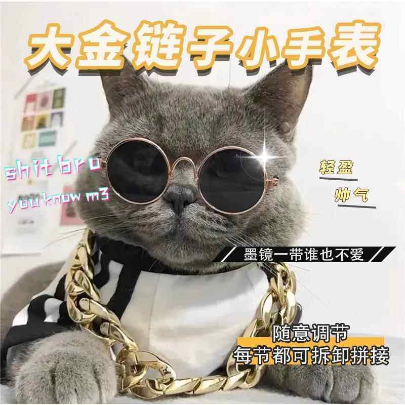 【猫咪金链子】项链猫项圈小狗配饰纪念饰品泰迪眼镜狗狗墨镜宠物