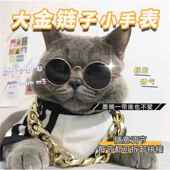 项链猫项圈小狗配饰纪念饰品泰迪眼镜狗狗墨镜宠物 猫咪金链子