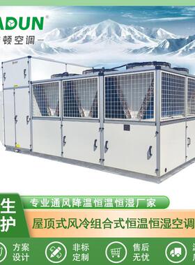 屋顶式风冷直膨空调机组10HP15HP20HP25HP30HP40HP50HP