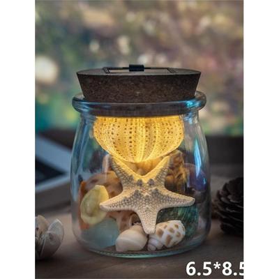【网红爆款】海胆灯贝壳收纳瓶许愿瓶海螺贝壳创意小夜灯生日礼物