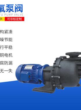 工程塑料大头泵ZMD马肚泵耐腐蚀酸碱自吸泵电镀耐腐蚀FPZ自吸泵