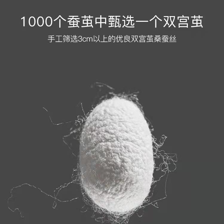 厚桐54645445乡全桑蚕丝被春秋芯被夏被二合一拉链款子母棉被冬被