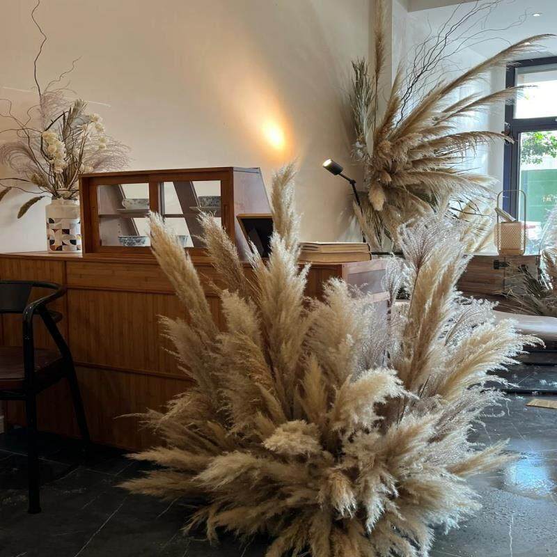 秋季女装店氛围感场景布置芦苇公蒲苇干花店铺橱窗美陈造景装饰
