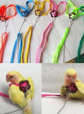 Parrot Bird Leash Outdoor Adjustable Harness Training Rope