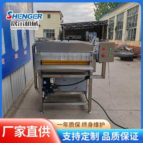 粽叶清洗机 平行毛刷箬竹叶清洗机 连续式循环水荷叶清洗不伤叶子