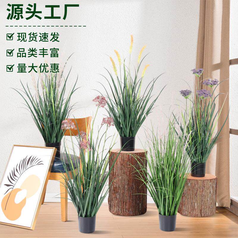 仿真狗尾草仿真芦苇绿植盆栽酒店橱窗造景假草仿真蒲苇室内装饰