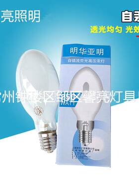 厂家直供125W160W自汞泡250W450W自镇流汞灯泡荧光高压汞灯灯泡