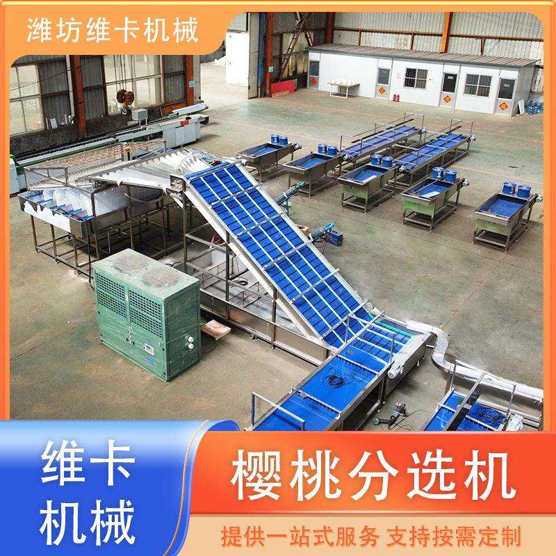 樱桃车厘子分拣机机水果智能分选机多少钱大型清洗分选设备