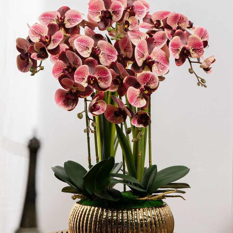 大盆高档轻奢仿真蝴蝶兰塑料假花艺插花室内客厅桌面装饰摆件摆设,鲜花速递/花卉仿真/绿植园艺,仿真绿植,淘宝优惠券,粉丝福利购,淘宝优惠卷