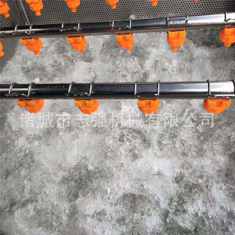 紫榄苋菜菠果菜气泡清GWY洗芸机 豆豇豆橄洗菜设备蔬气泡式清洗机