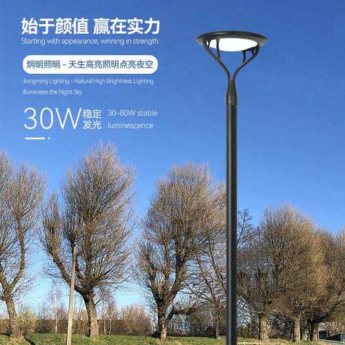 路灯户外庭院灯3米现代景观灯小区花园简约太阳能欧式风格