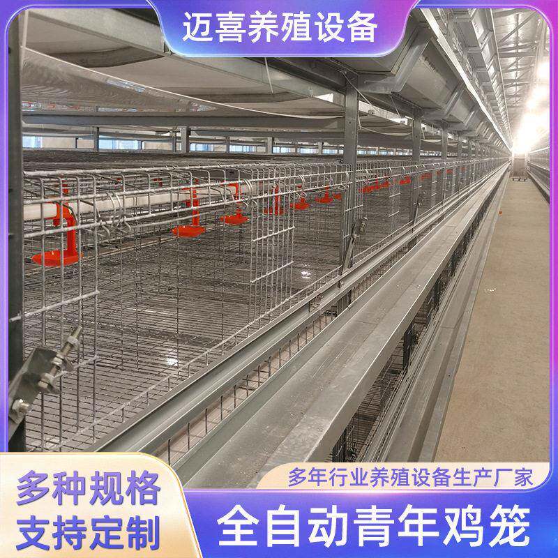 冷镀锌全自动养殖青年鸡笼立式多层鸡笼子农场大棚养殖笼具厂家