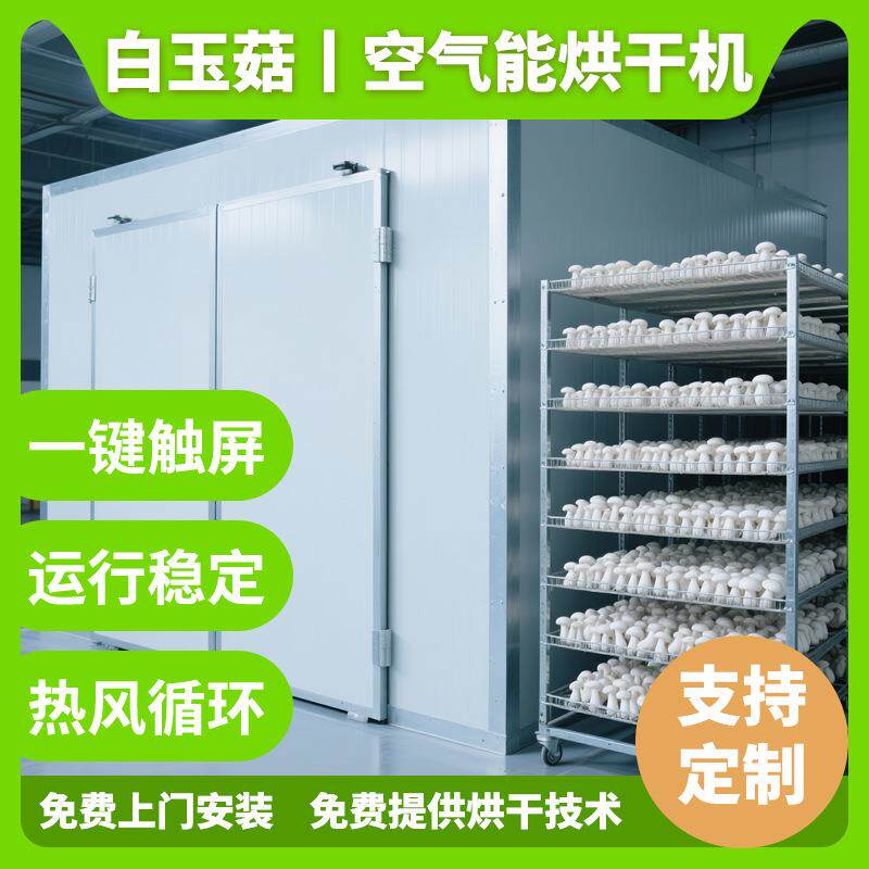 白玉菇烘干机 大型草菇赤松茸切片烘干箱 蟹味菇蘑菇秀珍菇烘干房