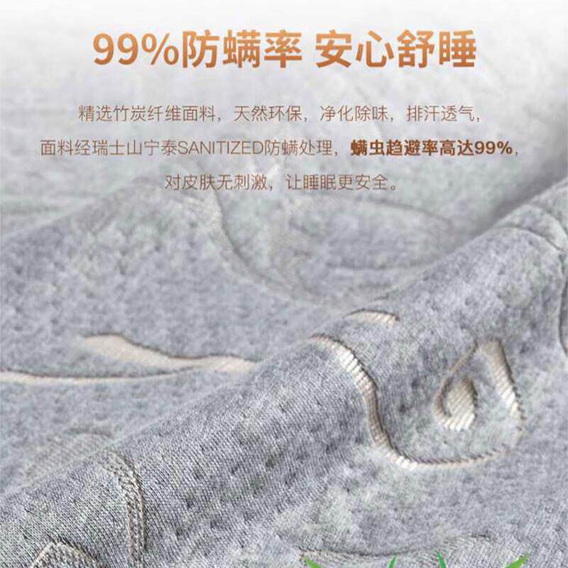 澜皇天然椰棕床垫硬棕垫榻榻米床垫折叠棕榈垫乳胶硬席梦思床垫子