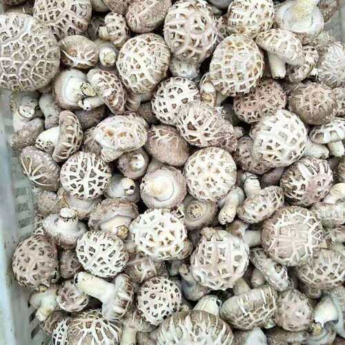 出口天白花菇干货高品质大花菇剪脚冬菇量大从优肉厚蘑菇厂家直销