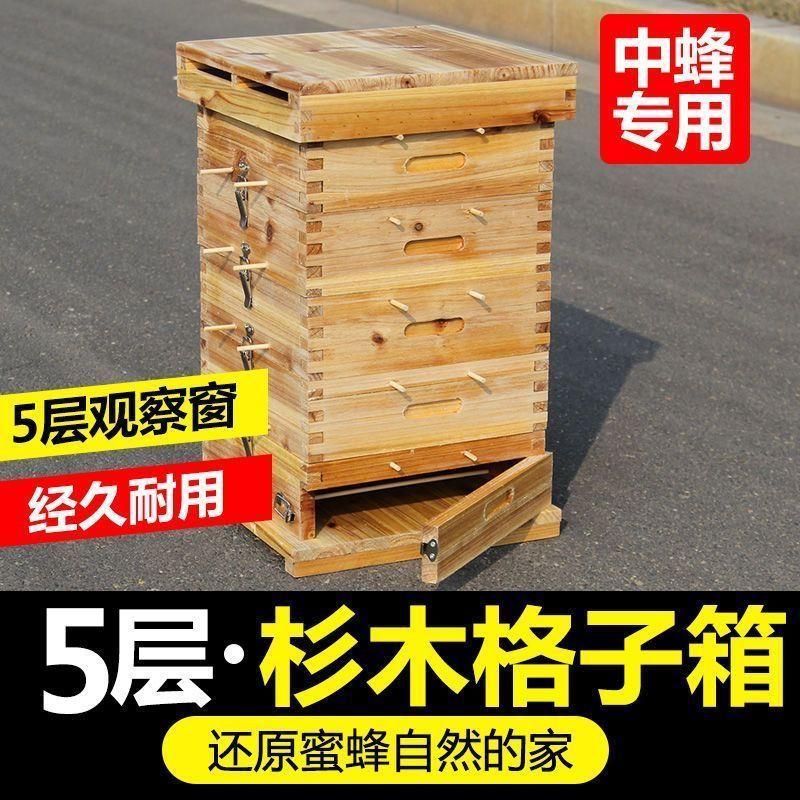 蜜蜂养蜜蜂格子五层中蜂全套杉木蜡土蜂箱巢蜜诱蜂桶传统养蜂懒人