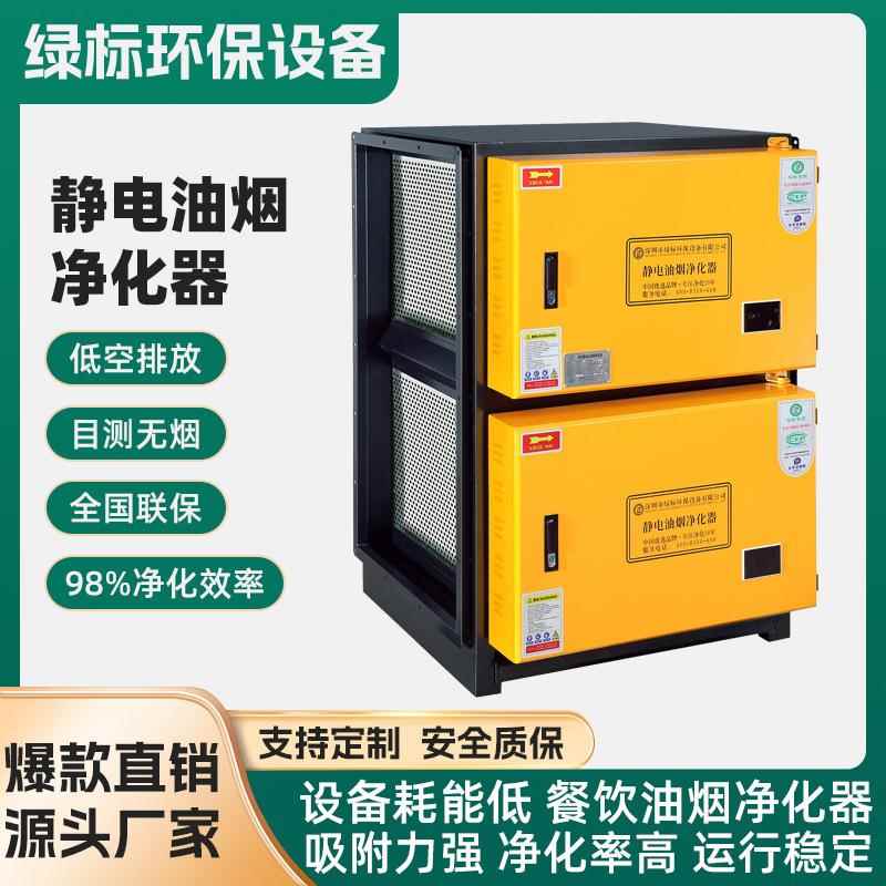 16000双层风量低空排放油烟净化器餐饮设备效率高达到98%厂家直销