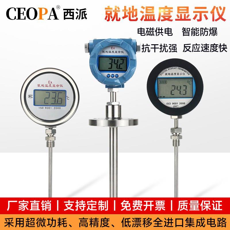 就地显示温度计pt100热电偶双金属温度计防爆数显就地温度显示仪