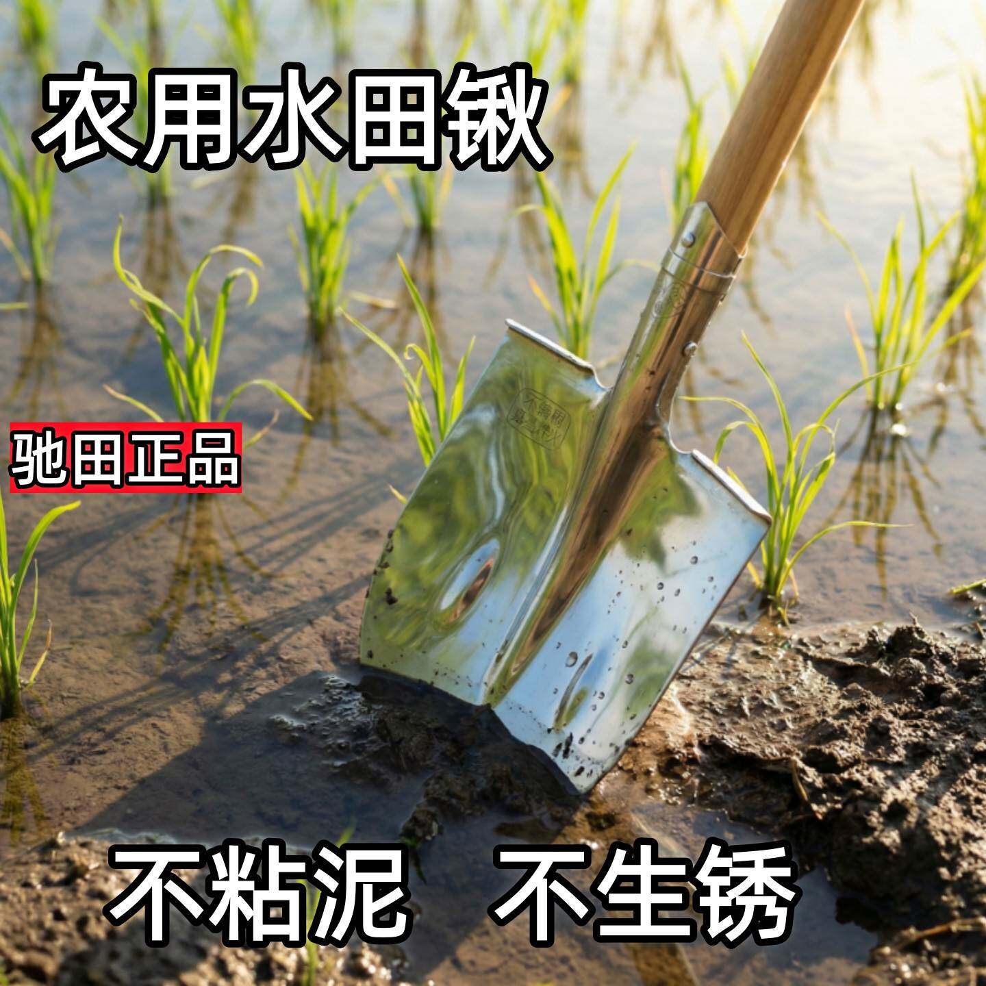驰田不锈钢锹水田专用铁锹高硬度农用家用挖土锹镜面抛光不沾泥铲