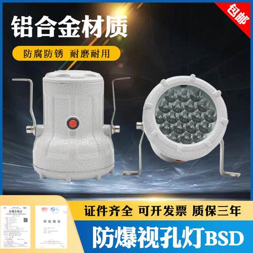 防爆视孔灯BSD-100系列/防爆LED视镜灯/防爆反应釜灯照明灯5W10W