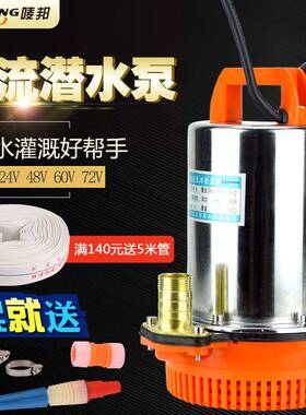 直销12V2无品牌/4VV4860伏小型直电流潜水泵/直电瓶车载无刷流船