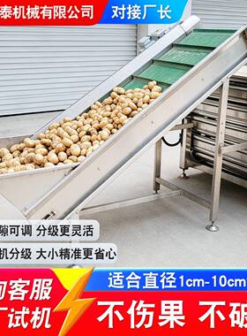 青柠脐橙重量分选机商用滚杠式柿子分级机全自动土豆红薯分级机