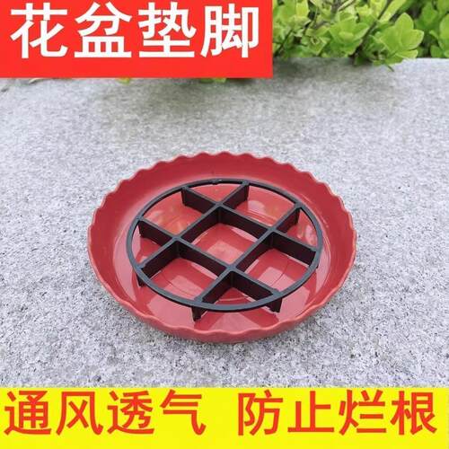 Elevated tray for plant pots to prevent root rot, with a rai