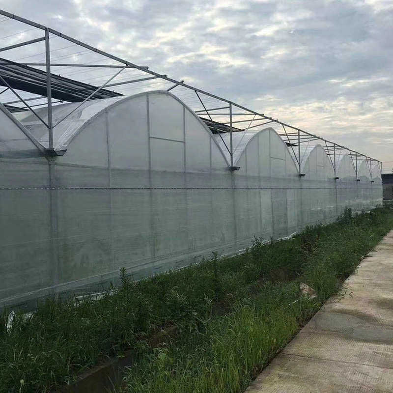 连栋温室大棚薄膜连栋大棚厂家农业育苗温室种植大棚连栋遮阳大棚,农机/农具/农膜,温室大棚支架,淘宝优惠券,粉丝福利购,淘宝优惠卷