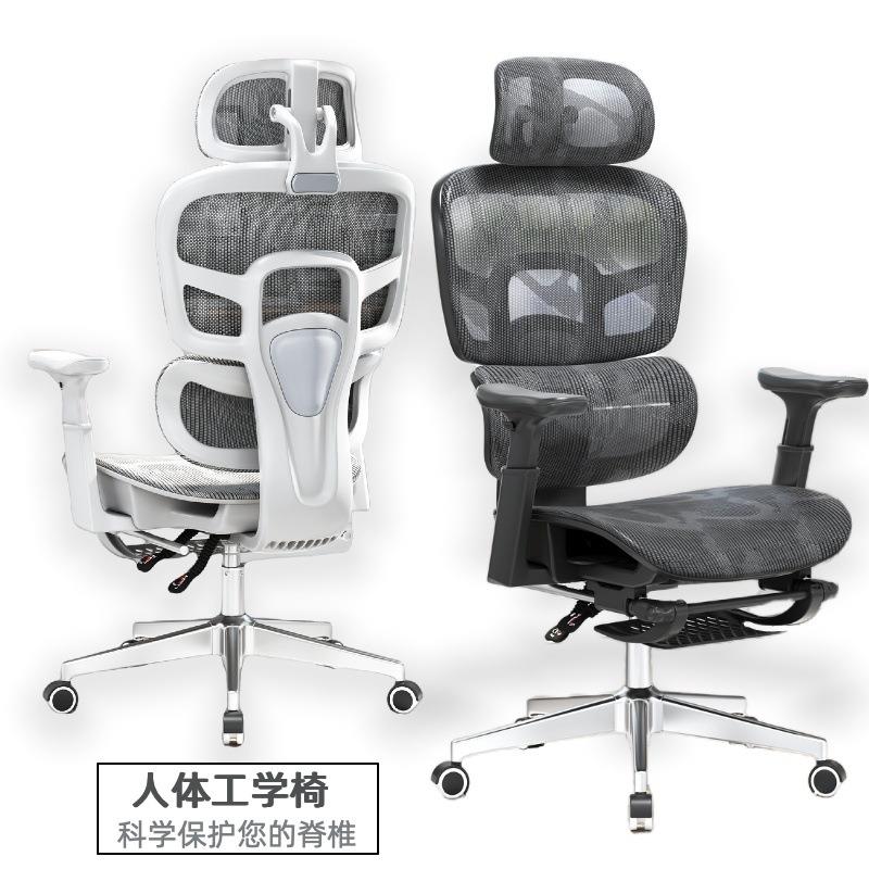 【已降价】电脑椅护腰家用人体工学办公椅舒适久坐电竞椅子可躺