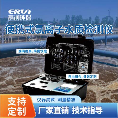 便携式氯离子水质检测仪ERUN-SP9-C4智能型便携水质氯离子分析仪