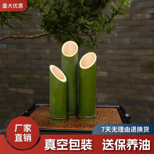 中式竹筒插花新鲜绿色小竹子手工艺品装饰摆饰编篮环创拍摄花器