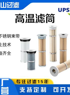 可定制耐温滤筒钢厂电厂铸造厂用粉尘回收滤芯不锈钢束带滤筒