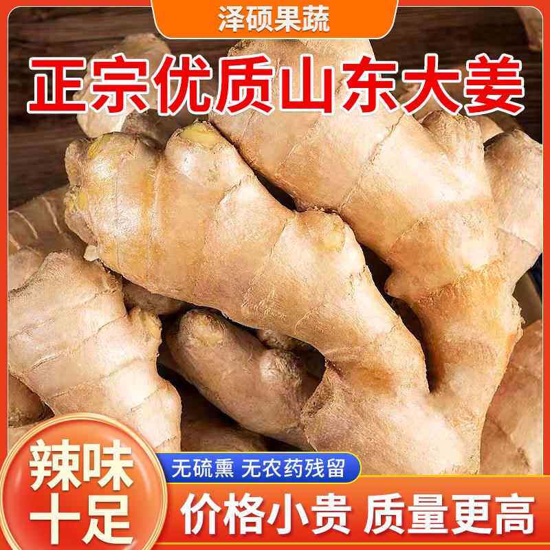 山东大姜老姜优质生姜月子姜风干姜现挖鲜姜新鲜老黄姜3斤5斤包邮