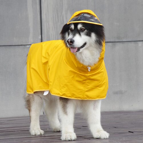 新款直销宠它护肚防水狗狗雨衣斗篷 金毛边牧萨摩大型犬中型犬宠