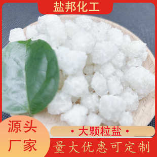 软水热敷水处理鱼虾养殖用工业级大 厂家现货供应日晒盐大颗粒盐