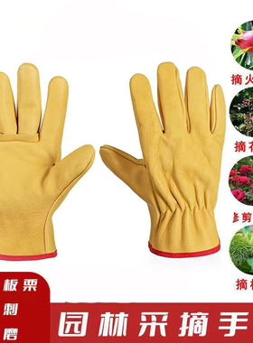 羊皮防刺手套园林园艺修剪玫瑰月季摘花椒防扎剝板慄劳保保护手套