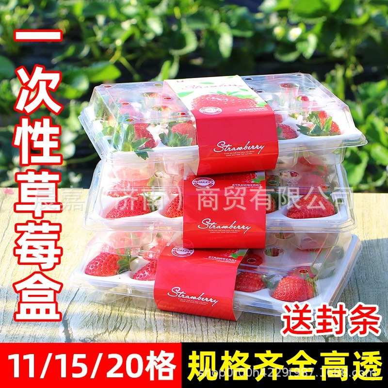 厂家直销一次性透明草莓盒快递专用网红打包盒高档塑料防震草莓盒