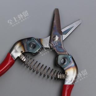 310园林工具 日本进口爱丽斯ARS 稀果采果剪刀摘果剪水果翘头剪刀