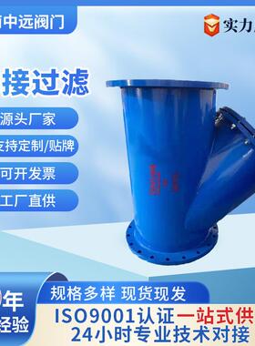 法兰过滤器GL41H-16C钢制大口径碳钢不锈钢管道污水杂质Y型过滤器